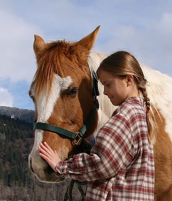 Watch Dream Horse (2020) Movies Free Watch Dream Horse (2020) Movies Free