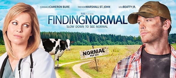 Finding Normal Movie Poster | Pure Flix