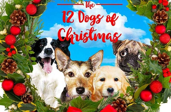 12 Dogs of Christmas Movie Poster | Pure Flix