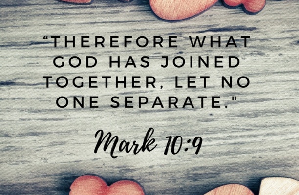 29 Bible Verses About Wives Marriage and Love 29 Bible Verses About Wives Marriage and Love