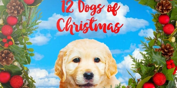 7 Entertaining Dog Movies for the Christmas Season