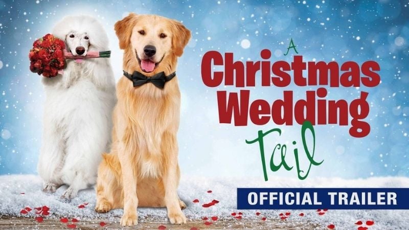 A Christmas Tail Family Christmas Movies Pure Flix