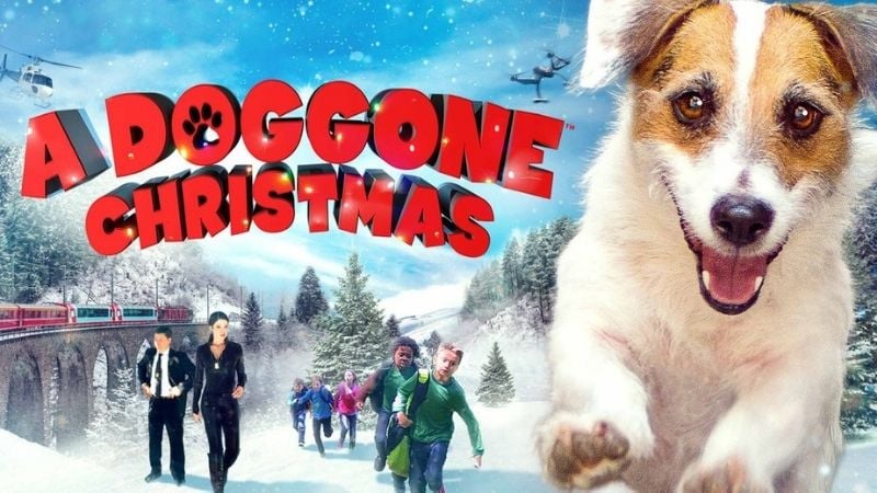 A Doggone Christmas Family Christmas Movies Pure Flix