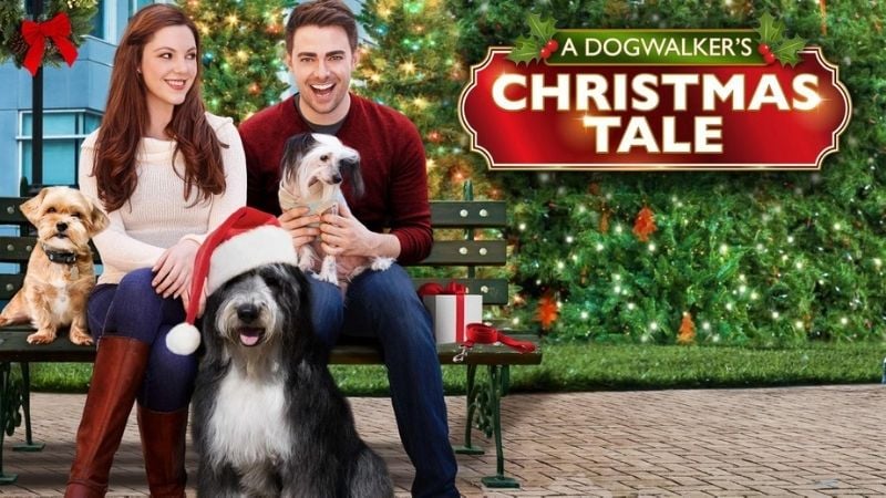 A Dogwalker's Christmas Tale Family Christmas Movies Pure Flix
