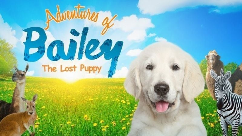 Adventures of Bailey: The Lost Puppy Pure Flix