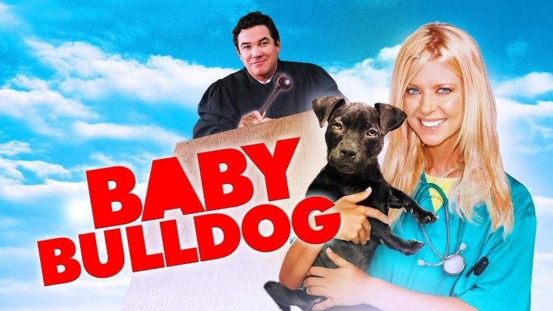 Baby Bulldog Christian Family Movies Pure Flix