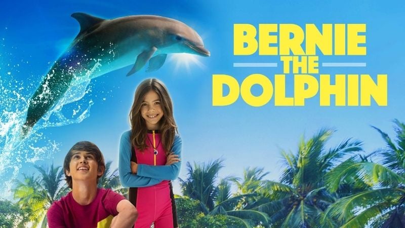 Bernie The Dolphin Christian Movies Pure Flix