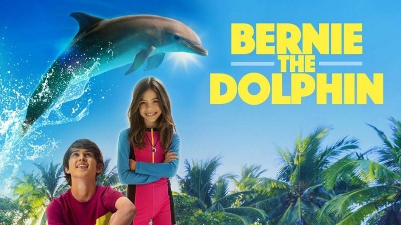 Bernie The Dolphin Summer Movies For Kids