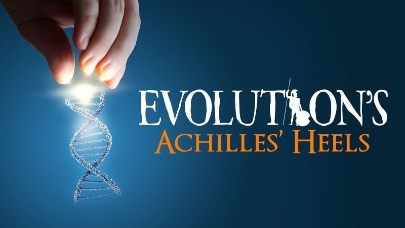 Evolution's Achilles' Heels Christian Documentaries
