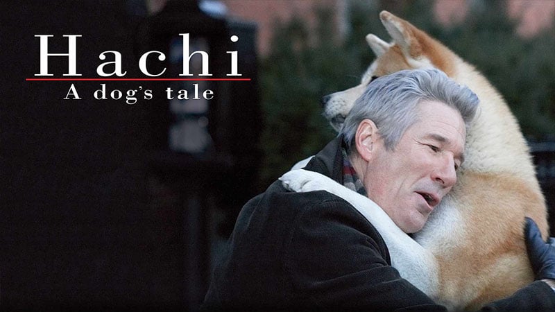 Watch the Hachi trailer