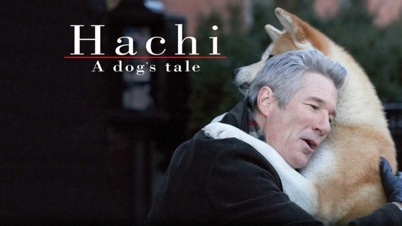 Hachi A Dog's Tale Summer Movies Pure Flix