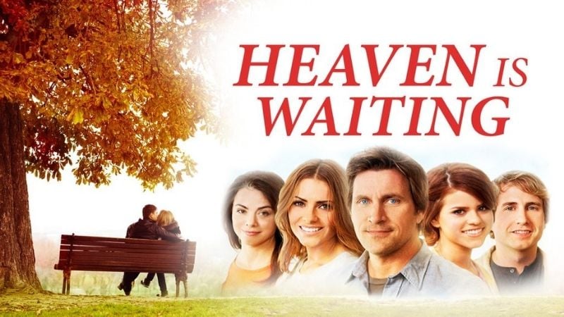 What Is The Movie Heaven Is Waiting About 11 Must-Watch Movies About Love, Romance and Hope
