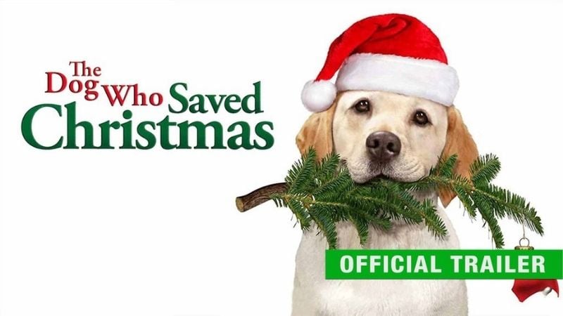 The Dog Who Saved Christmas Family Christmas Movies Pure Flix