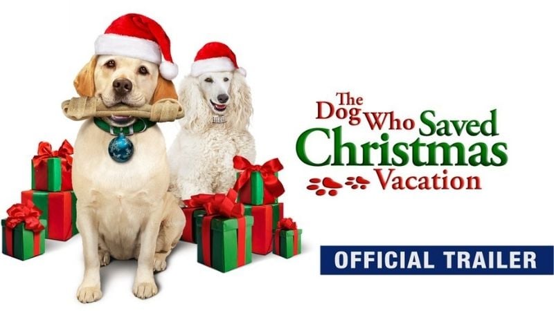 The Dog Who Saved Christmas Vacation Family Christmas Movies Pure Flix