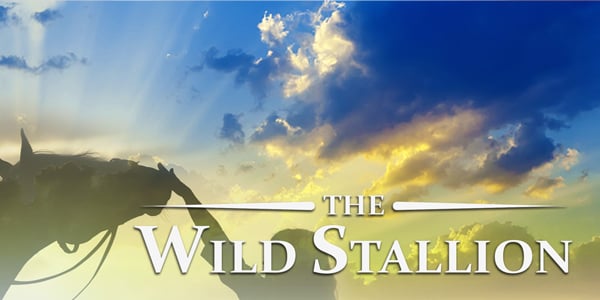 The Wild Stallion | Pure Flix