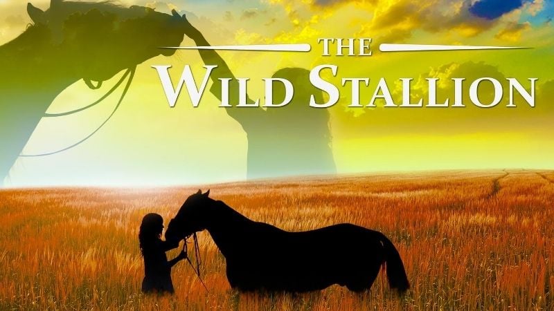 The Wild Stallion Christian Family Movies Pure Flix