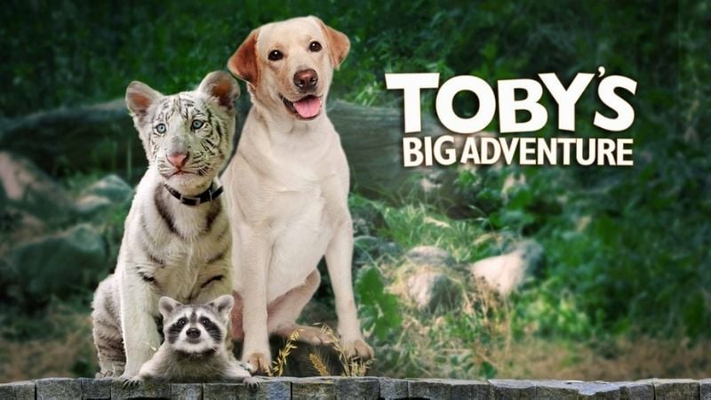 Toby's Big Adventure Summer Movies Pure Flix
