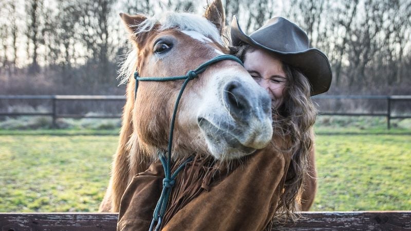 national-i-horses-day-movie-list-pure-flix-blog-header