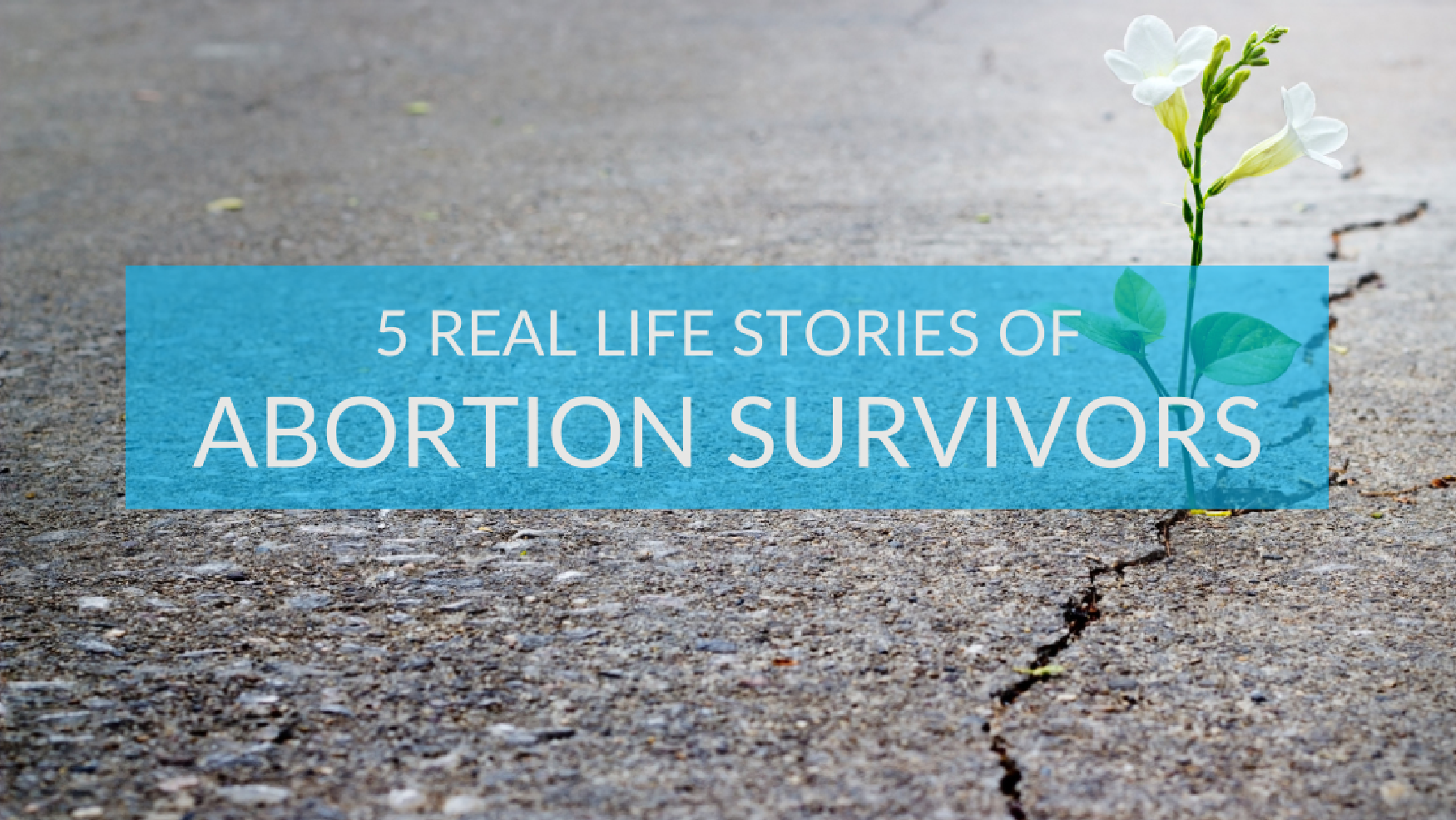 5_Real_Life_Stories_of_Abortion_Survivors_Pure_Flix-1.png
